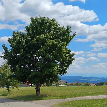 Apartament Wolke 7 *