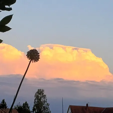 Wolke 7 *